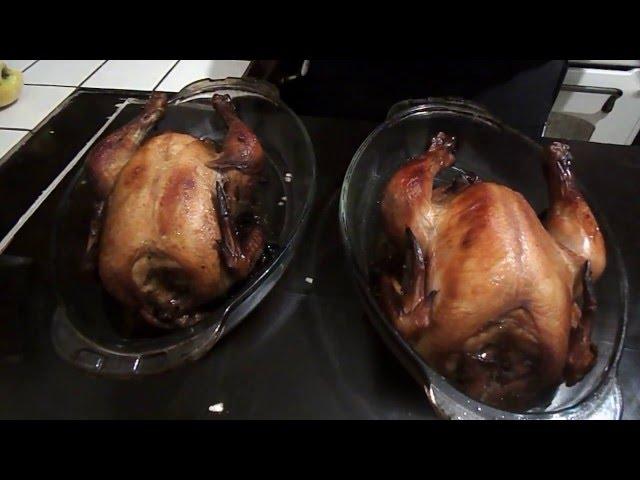 две курицы  эксперимент с курицами