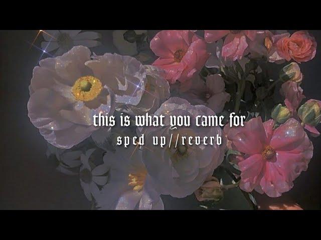 this is what you came for - sped up//reverb