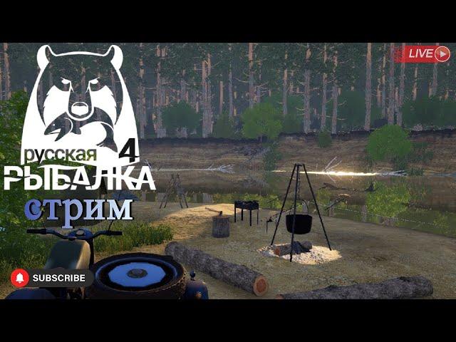 Russian fishing 4 рыбный четверг. стрим