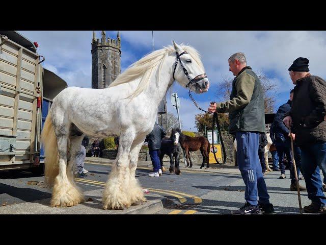 Ennistymon Horse Fair. 7 April, 2024.