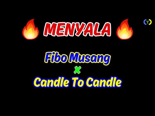 FIBO MUSANG x CANDLE TO CANDLE