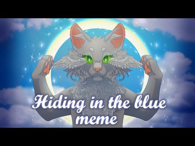 Hiding in the blue |  warriors animation meme [ Dovewing and Ivypool]