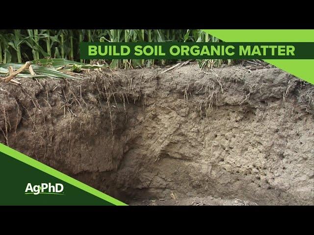 Organic Matter (From Ag PhD Show #1118 - Air Date 9-8-19)