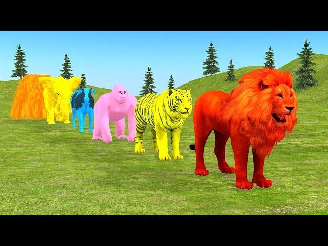 Long Slide Game With Elephant Gorilla Buffalo Hippopotamus Tiger - 3d Animal Game - Funny 3d Animals