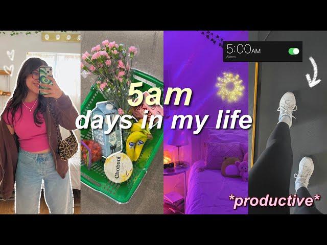 waking up at 5AM vlog: productive mornings, daily routine & healthy habits