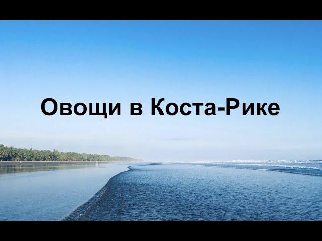 Овощи в Коста-Рике