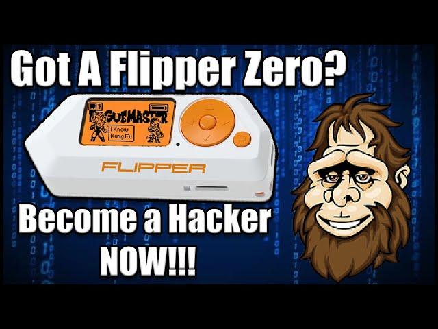 Got a Flipper Zero? Become a Hacker NOW!!! Install UberGuidoZ Repo, RogueMaster & Unleashed!