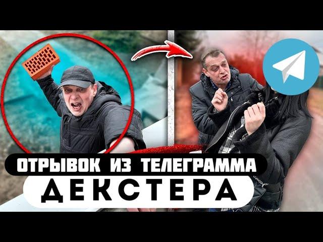 Отрывок из телеграмма // Декстер // КАКУЮ СТОРОНУ ВЫБРАЛ БРАТ АЛЁНЫ?