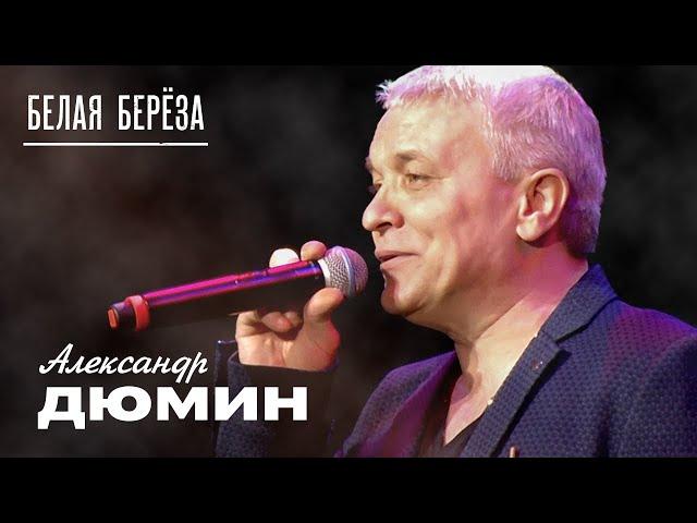 Александр Дюмин - Белая берёза (Концерт в Подольске, 2019)