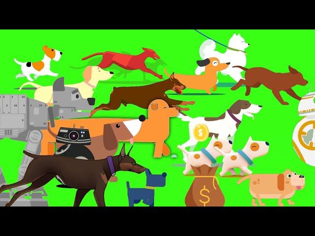 Dog stampede Green Screen | Animal stampede | 4k