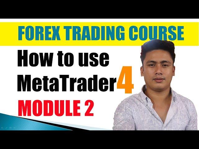 Module 2: How to use Metatrader 4 Platform | Actual Live Forex Trading