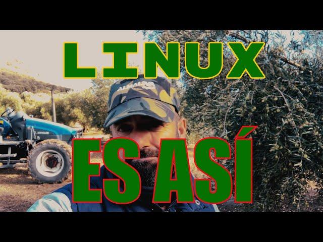 Linux es así y por eso nos gusta 