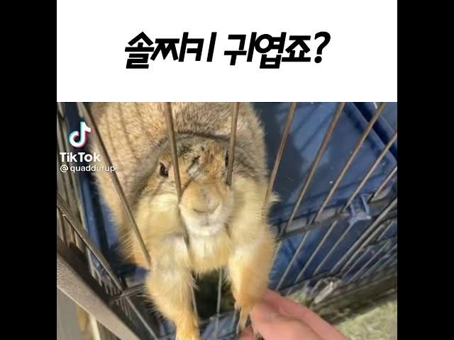 더워서 녹은거야 나오고싶은거야 ㅋㅋㅋㅋㅋㅋ졸귀