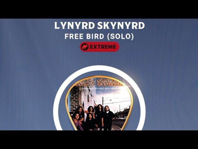 [Country Star Deluxe] Free Bird (Solo) - Lynyrd Skynyrd / DP 100K