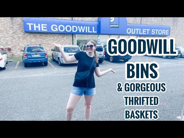 SHOPPING THE GOODWILL BINS & GOODWILL STORE | Small Thrift Haul