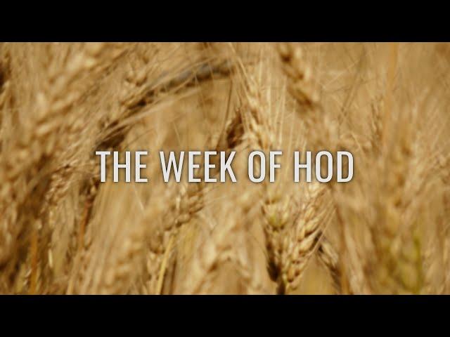 Counting the Omer 5782/2022 - Week Five - Hod (Splendor)