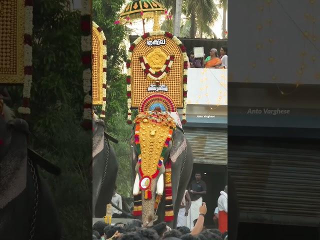 Chembalakulam Pooram 2025 ചെമ്പാലക്കുളം പൂരം ️ #chembalakulam #thrikkadavoorshivaraju #pooram