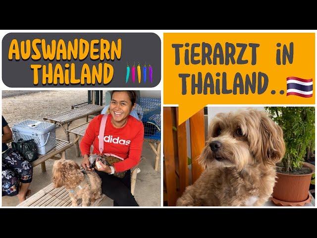 Als Familie nach Thailand auswandern.. Wir besuchen den Tierarzt in Thailand.. 