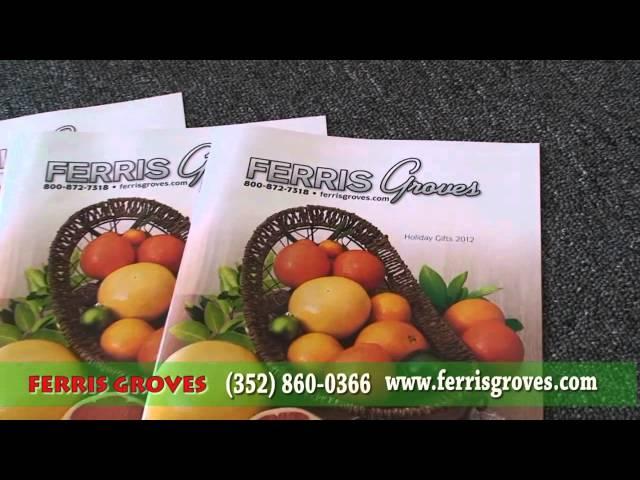 FERRIS GROVES RE OPEN 2013