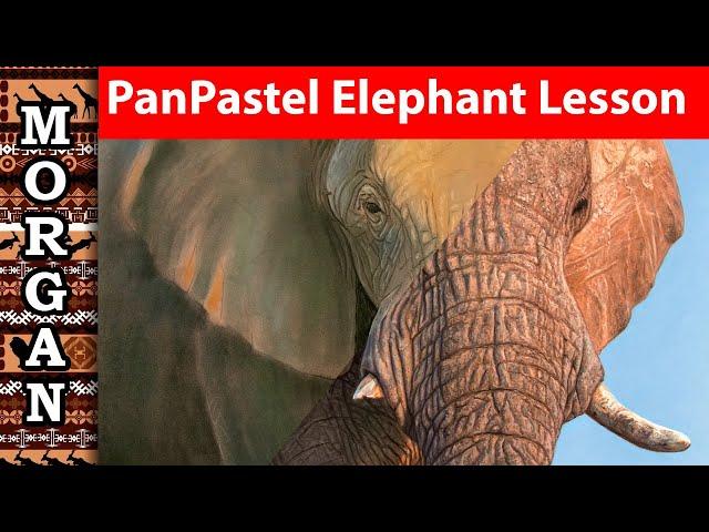 PanPastel Lesson - Wildlife Animal Painting - Jason Morgan