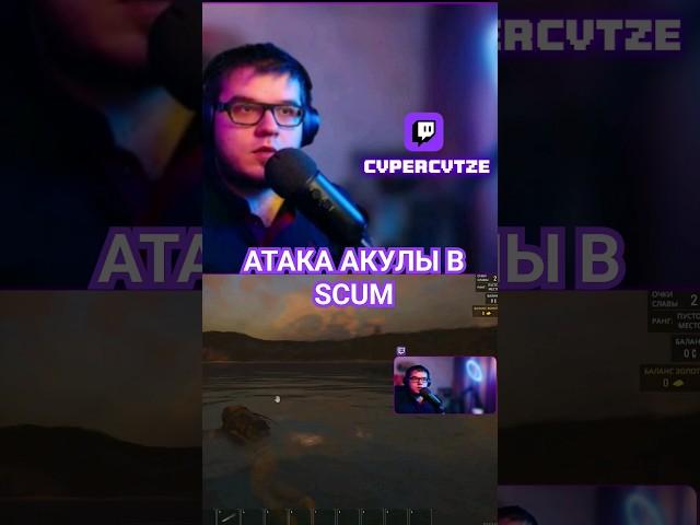 АТАКА АКУЛЫ SCUM  #fypシ #fypシ゚viral #fyp #scum #скам #стрим #стример #смех #выживание #tiktok #рек