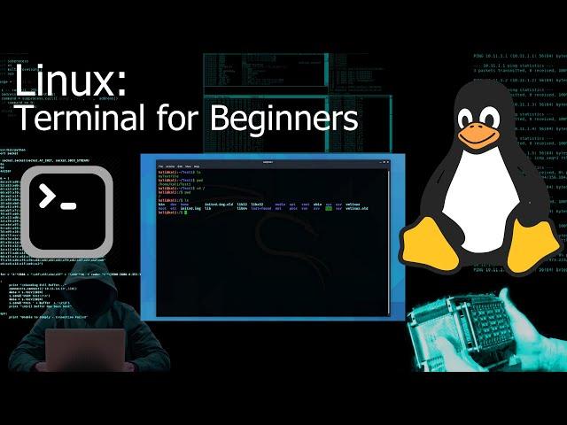 Kali Linux Terminal / Command Line for Beginners (Tutorial)