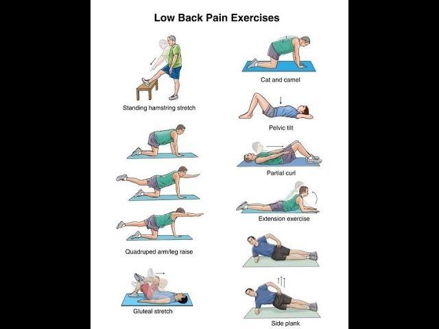 back pain exercises at home pdf