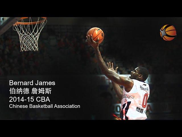 Bernard James China 2014-15 CBA | Full Highlight Video [HD]