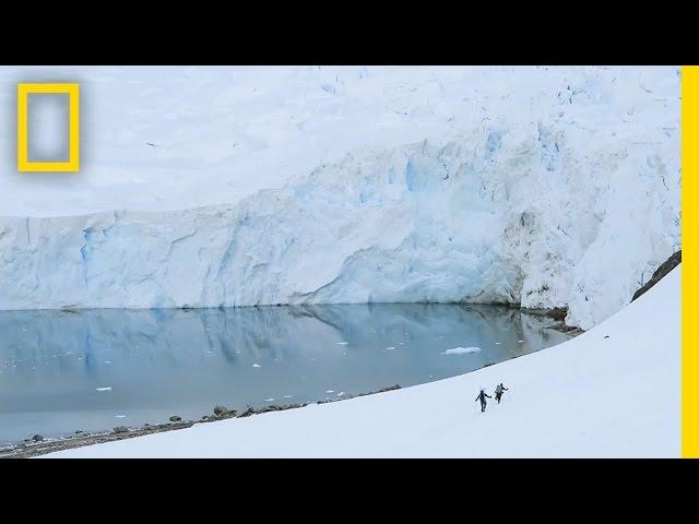 See the Extreme Ice Changes Near the Antarctic Peninsula | Short Film Showcase