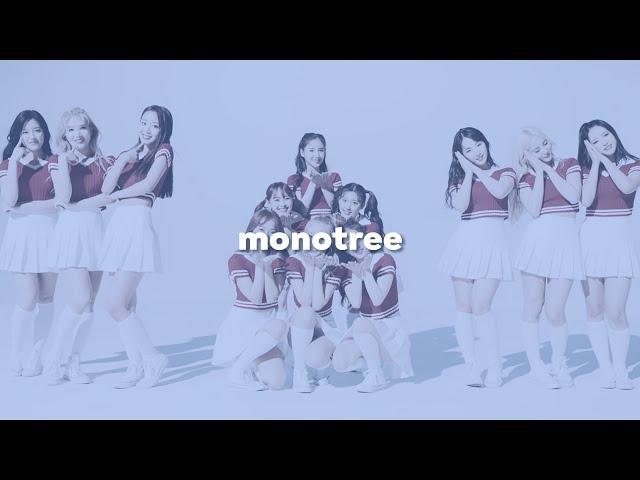 producer spotlight: monotree