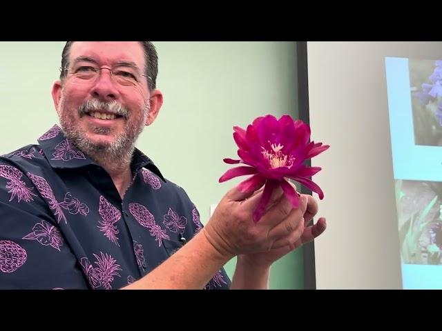 Epiphyllum blooms; Iris Colors and Patterns.