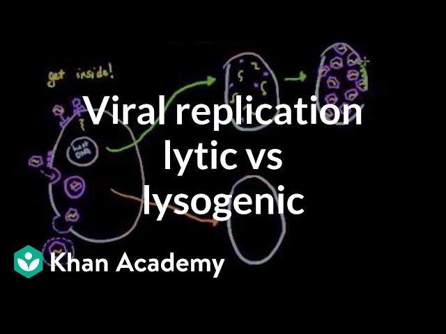 Viral replication: lytic vs lysogenic | Cells | MCAT | Khan Academy