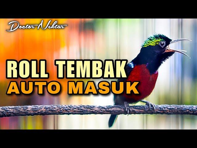 MASTERAN KONIN GACOR FULL ISIAN TEMBAKAN MEWAH - KOLIBRI NINJA KOMPILASI MATERI FULL ROLL TEMBAK JOS