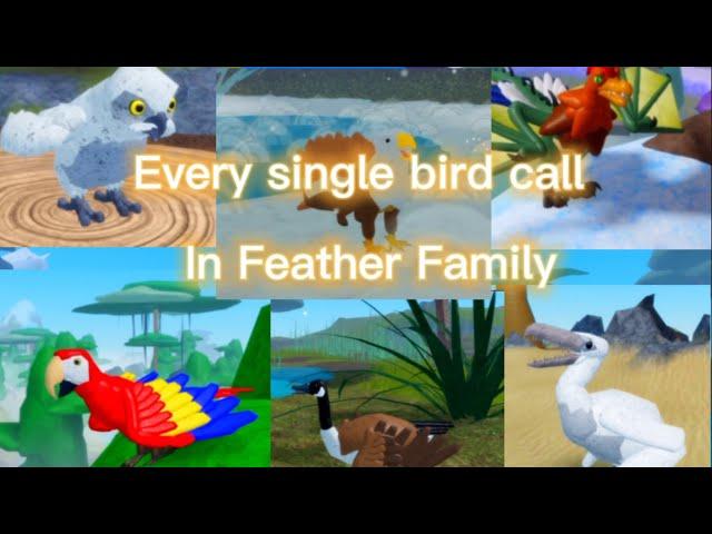 Every single bird call in Feather Family🪶(OUTDATED/part 2 in description)