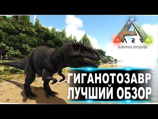 Гиганотозавр giganotosaurus  в АРК  Лучший обзор приручение, разведение и способности  в ark