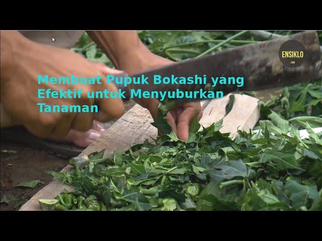 Cara Membuat Pupuk Kompos/Bokashi dari Bahan Organik Sekitar Rumah