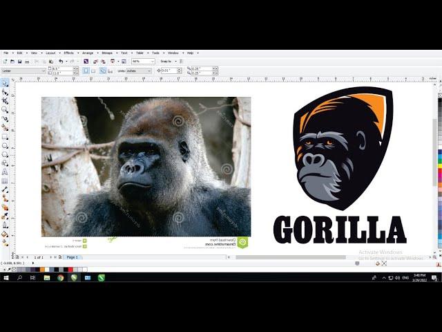 Learn Coreldraw Simple Techniques with Ahsan Sabri - Gorilla Mascot Logo