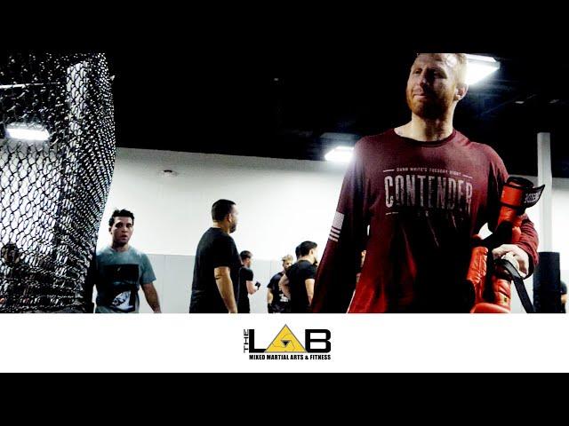 THE MMA LAB - ARIZONA