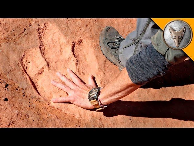 Hunting for Dinosaur Tracks!