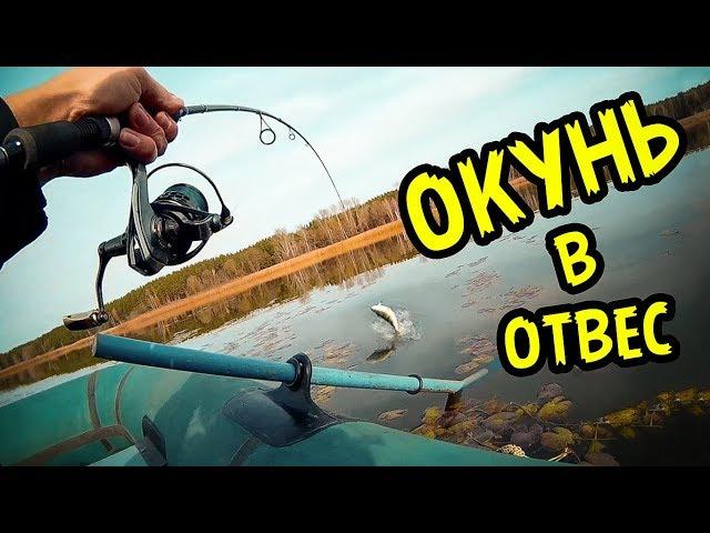 Ловля крупного окуня в отвес на спиннинг