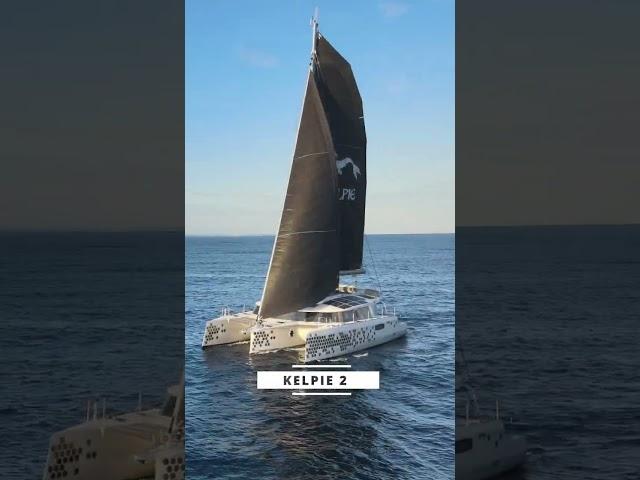 Epic Catamaran to Trimaran Sailing Drone Footage! #dronefootage #Sailing #shorts #boats #yacht