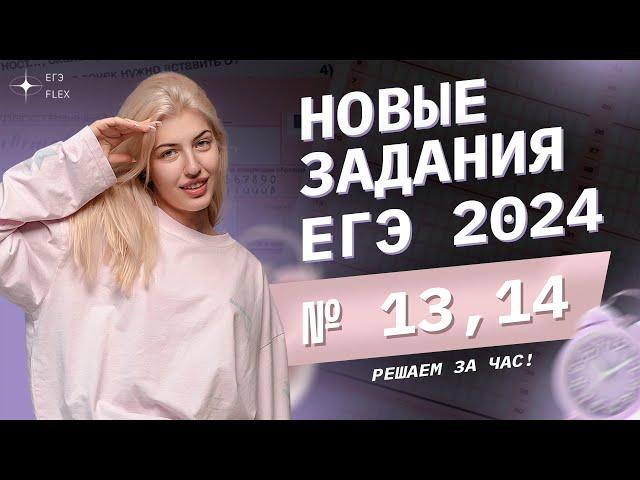 Решаем НОВЫЕ задания ЕГЭ 2024 за 1 час | Русский язык с Верой ЕГЭ Flex