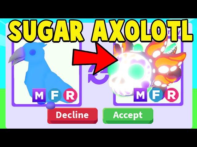 Trading for MEGA SUGAR AXOLOTL in Adopt Me!