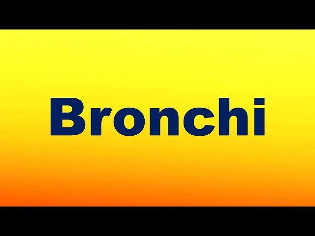 Bronchi Definition