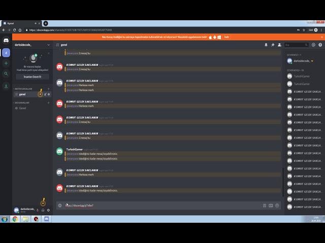 Discord Komut Trainer v1.0 (Exploit) [C#]