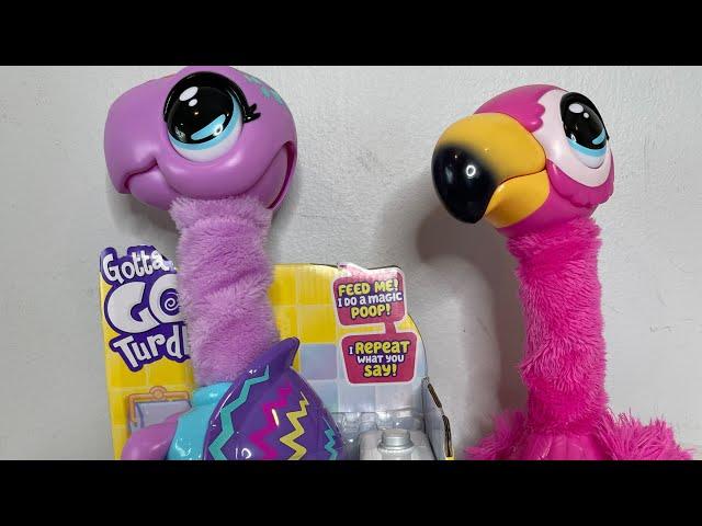 New! Gotta Go Turdle Unboxing Little Live Pooping Toilet Toy! #gottagoflamingo #gottagoturdle