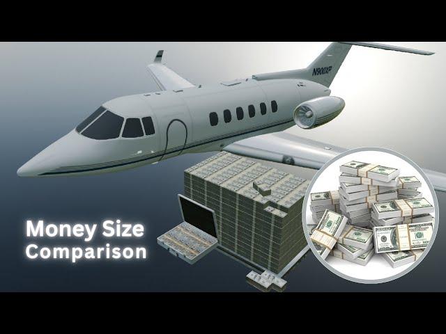 Money Size Comparison | Perspective | 3D