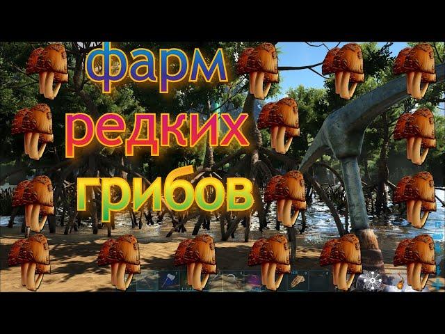 ARK РЕДКИЙ ГРИБ