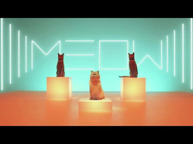 Meow ReMix Live Loop