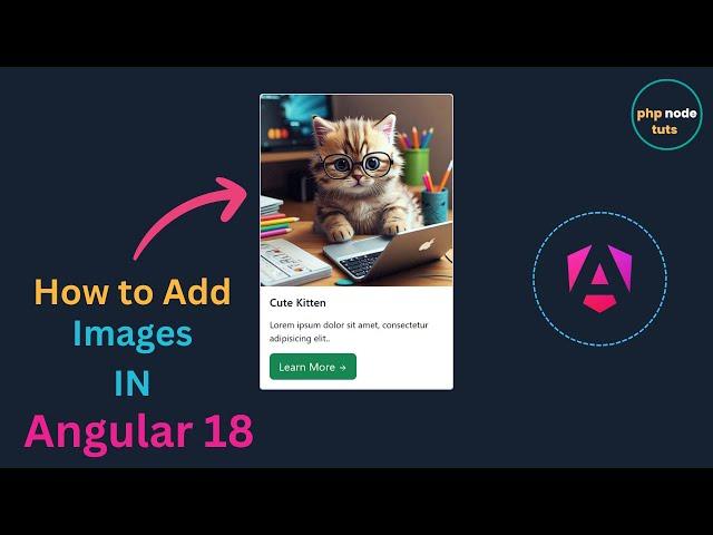 How to add Images in Angular 18 | How to display Image in Angular 18 | Angular 18 add image